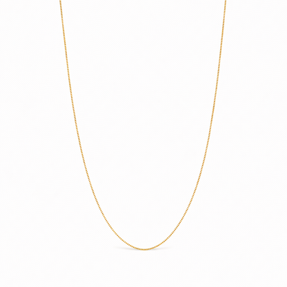 Bodega Collar Cadena Box