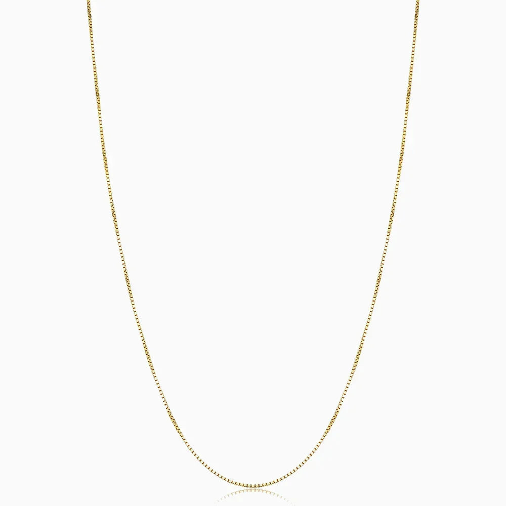 Bodega Collar Cadena Box